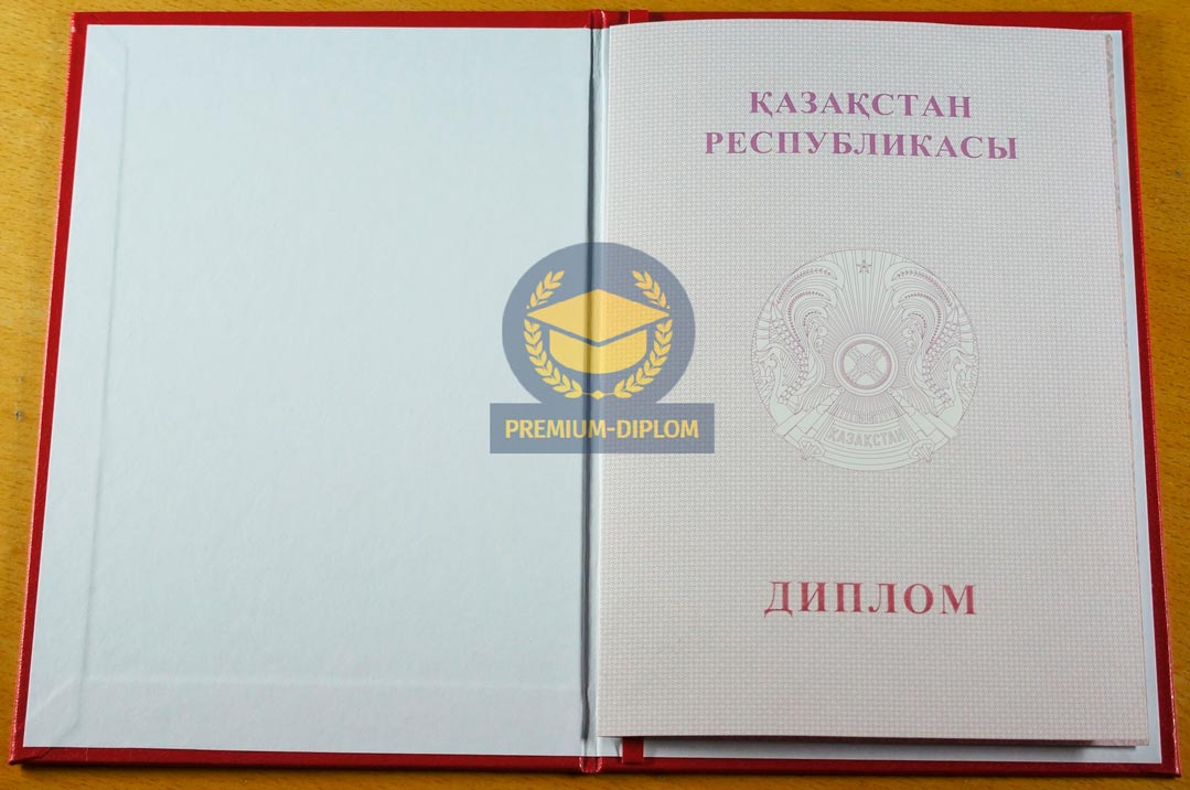 Магистр 2009 - 2026 с отличием (Казахстан) - фото