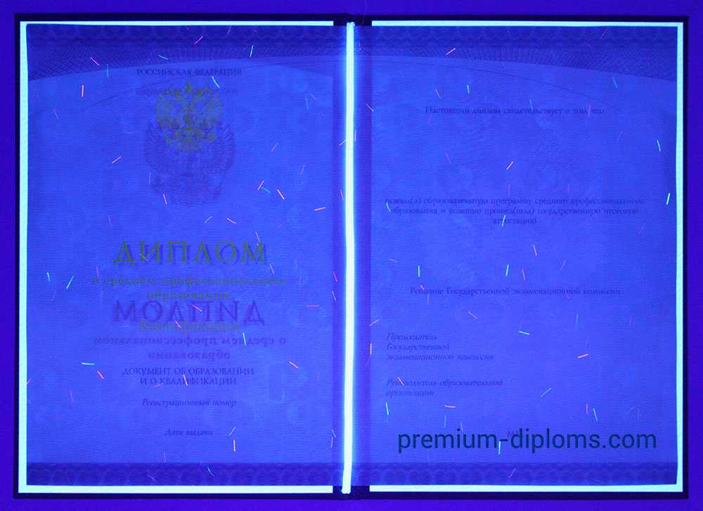 Диплом техникума - колледжа 2014-2026 год фото Диплом техникума - колледжа 2014-2026 год фото